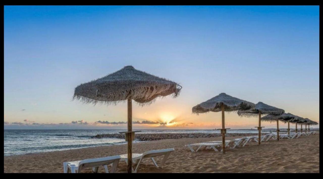 Paz Na Areia Apartment